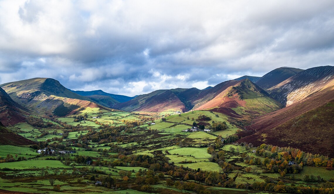 "Newlands Valley" - Andy Rose