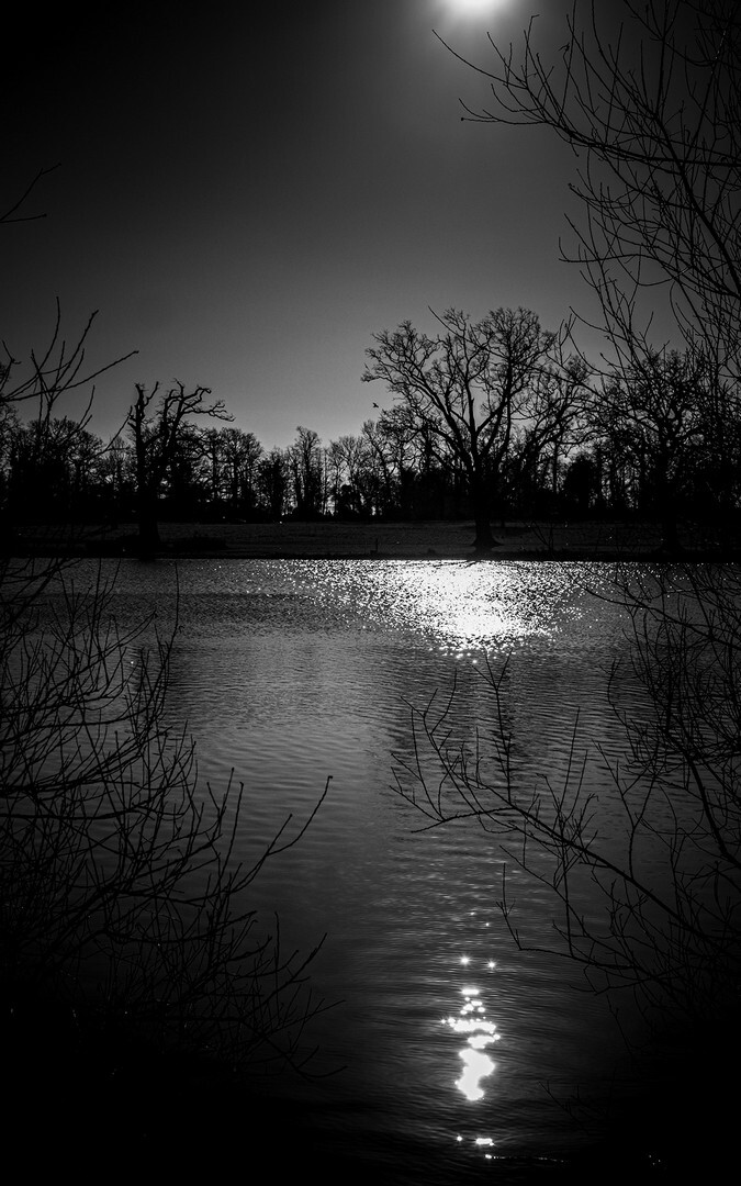 'Pools of Light' - Andy Rose