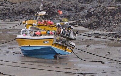 Waiting for the tide to come in