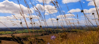 Cumulus Clouds.-1