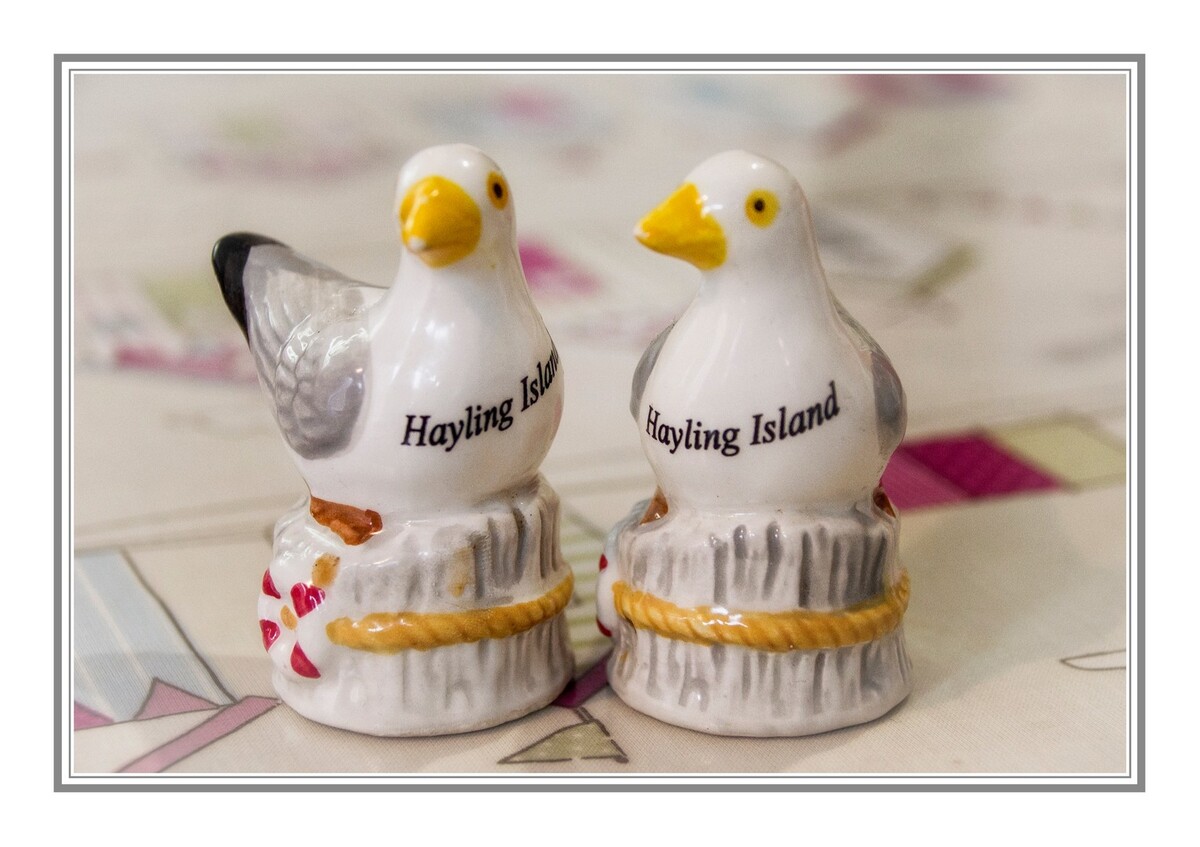 Gulls