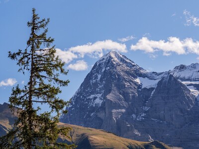 Magnficent Mountain