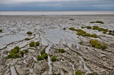 Mud, mud