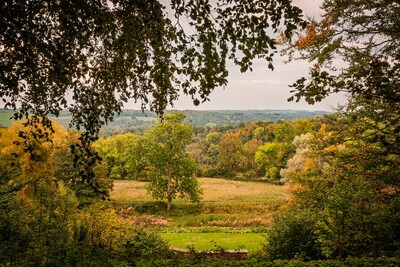 Newark Park Viewpoint