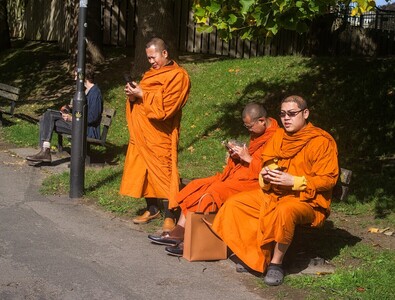 Orange robed monks