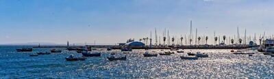 Shimmering Sea