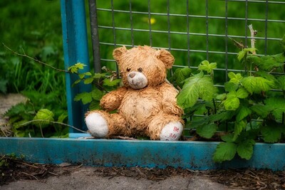 Teddy lost