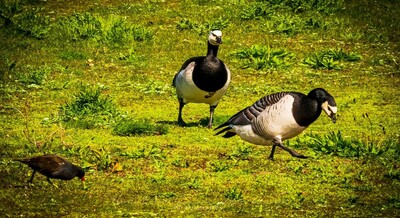 Three's a crowd, I'm Off