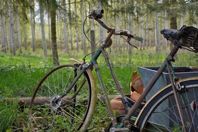 Transport