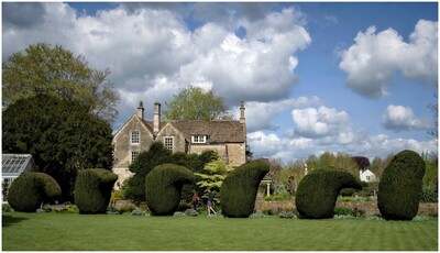 Trump-like Topiary