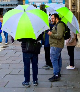 Umbrellas 