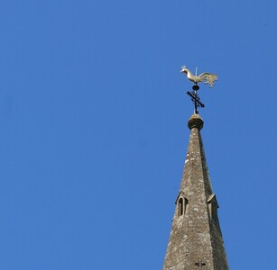 Vane