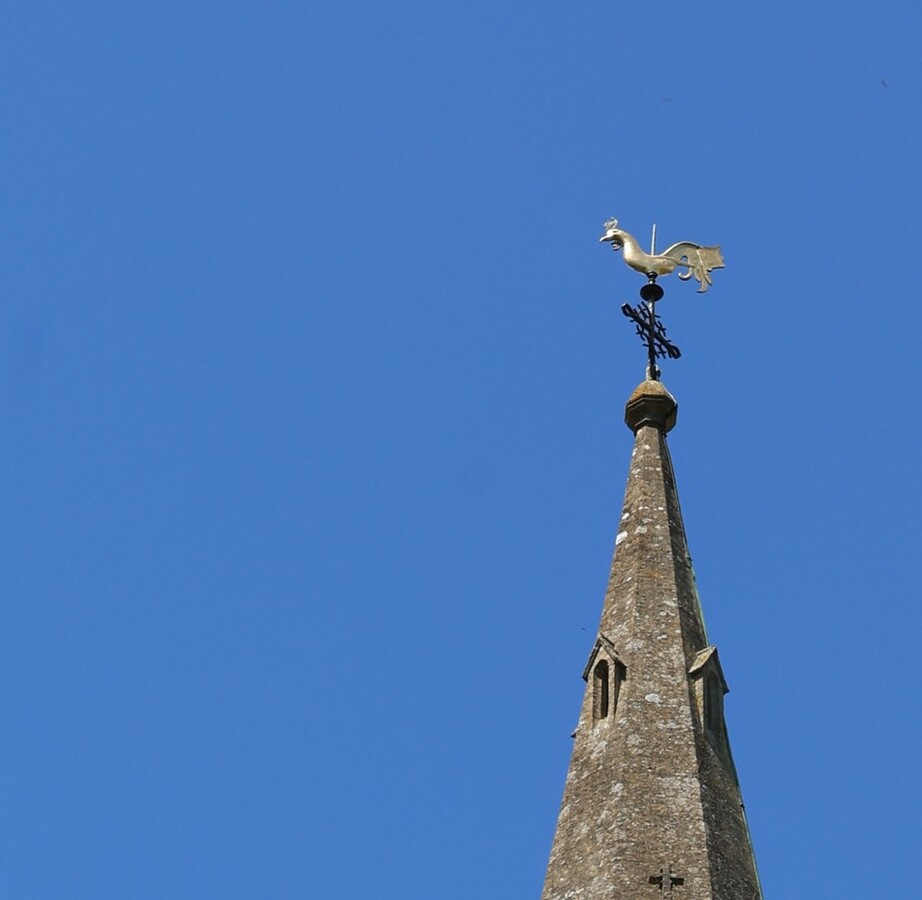 Vane