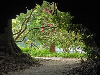 View from the tunnel