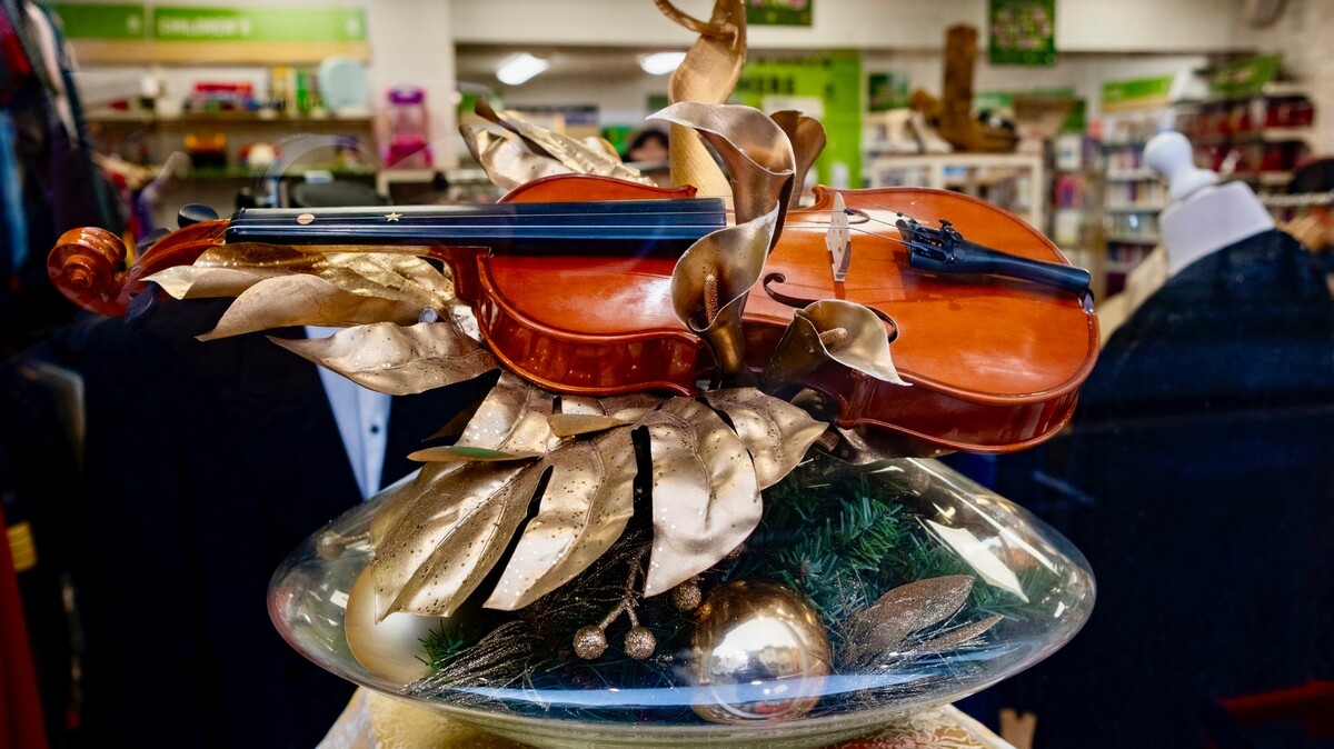 Violin